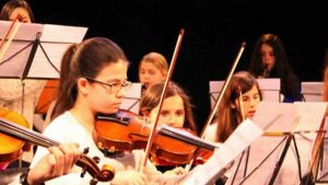 Concert de l'Orquestra de Cambra Juvenil de Catalunya @ Nau de Cultura de Valldoreix